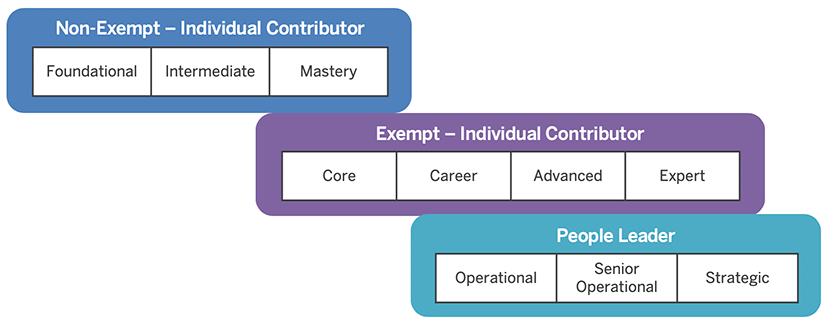 Career Levels Chart. Non-Exempt - Individual Contributor contains Foundational, Intermediate, and Mastery. Exempt - Individual Contributor contains Core, Career, Advanced, and Expert. People Leader contains Operational, Senior Operational, and Strategic.