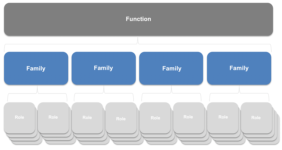 Functions and Familes Chart with families, in the middle, highlighted