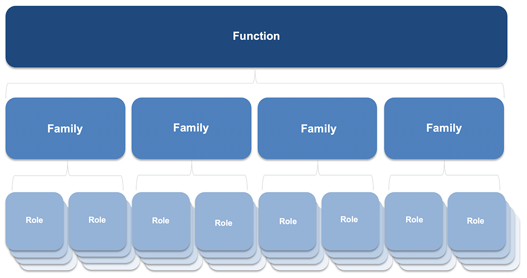 Functions and Families Chart showing how roles are grouped under familes and families are grouped under fuctions.
