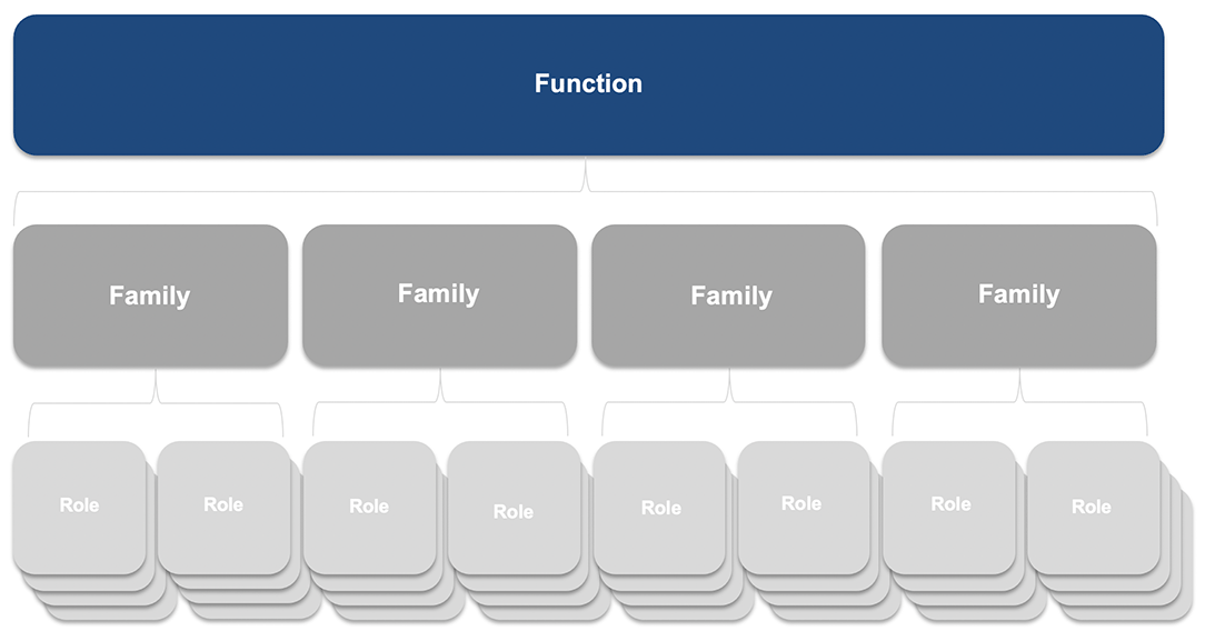 Functions and Families Chart with job function, at the top, highlighted