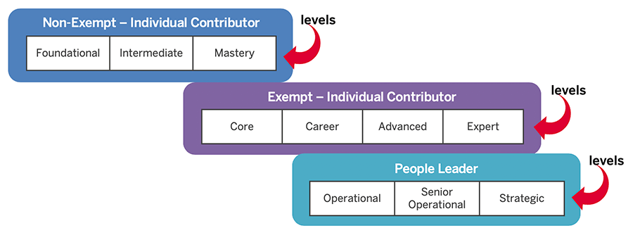 Career Levels Chart with the levels pointed out. Non-Exempt - Individual Contributor contains Foundational, Intermediate, and Mastery. Exempt - Individual Contributor contains Core, Career, Advanced, and Expert. People Leader contains Operational, Senior Operational, and Strategic.