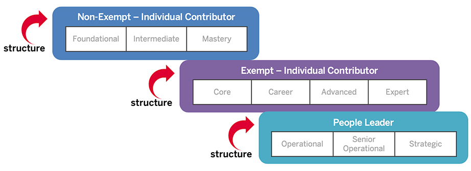 Career Levels Chart with the structure pointed out: Non-Exempt - Individual Contributor, Exempt - Individual Contributor, and People Leader.