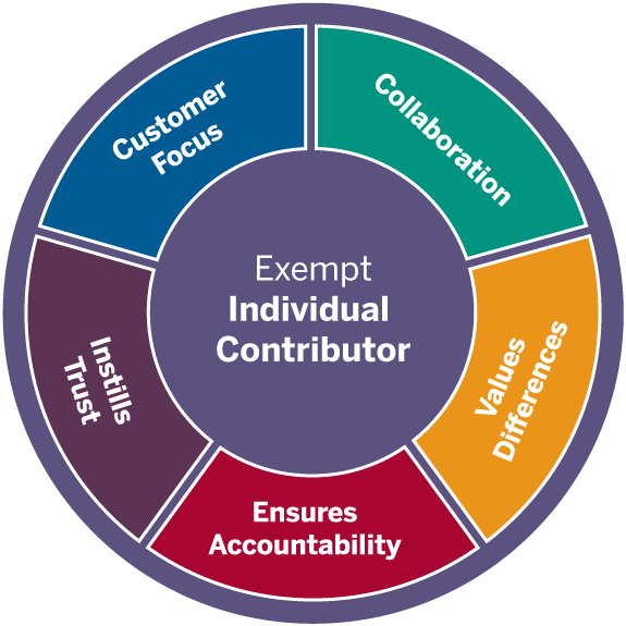 graphic with the core competencies in a circle around Exempt Individual Contributor