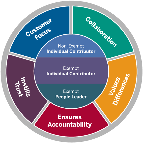 graphic showing the five core competencies in a circle around the 3 career levels - Non-Exempt Individual Contributor, Exempt Individual Contributor, Exempt People Leader. 