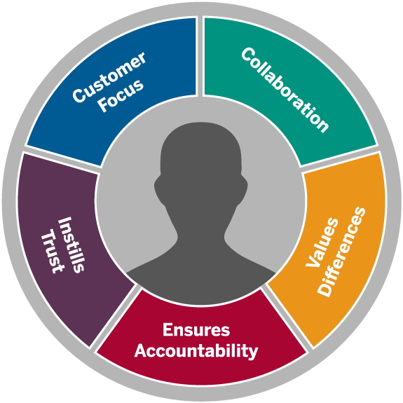graphic showing the five core competencies in a circle around an image of a person