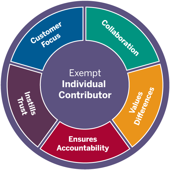 Exempt Individual Contributor employee competency circle with the five competencies of Collaboration, Values Differences, Ensures Accountability, Instills Trust, and Customer Focus