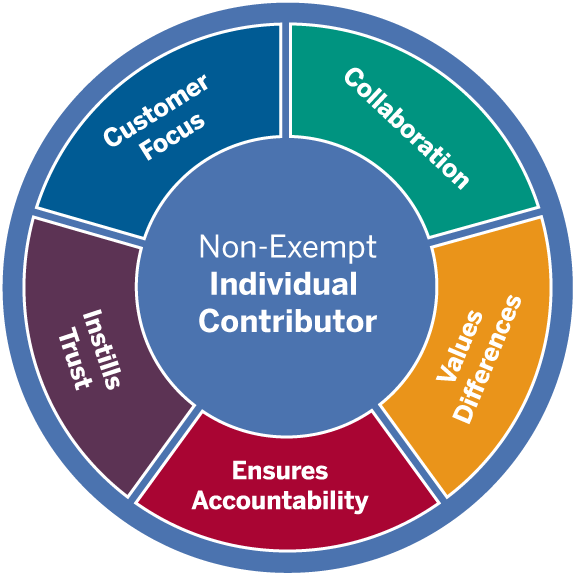 Core competency circle with Non-Exempt Individual Contributor in the middle. In the outer ring, the core competencies collaboration, values differences, ensures accountability, instills trust, and customer focus