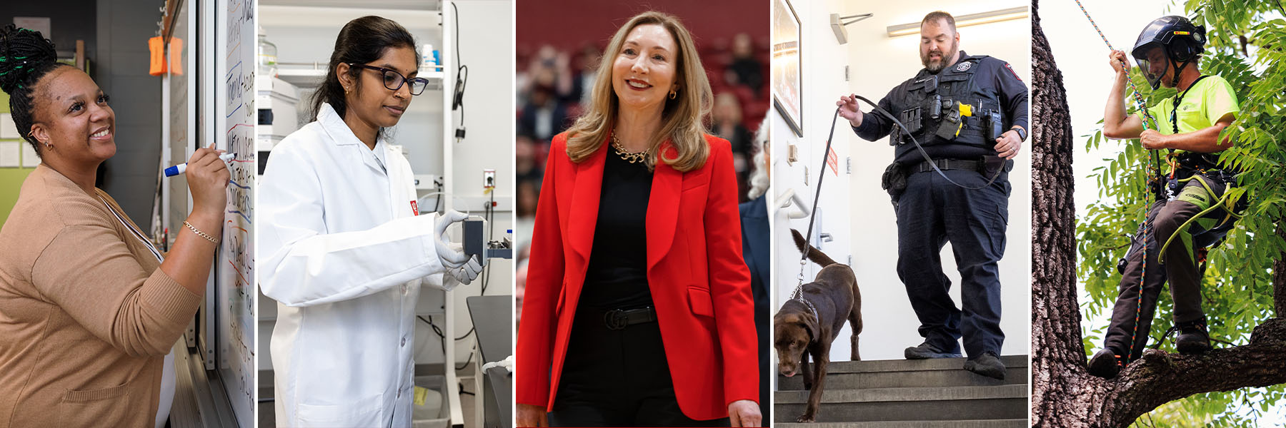 From left to right, a teacher writing on a white board, a researcher in a lab, a women in a red business suit, a police officer with a therapy dog, and a arborist scaling a tree