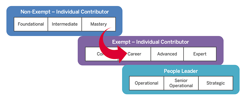 image of career structures showing Barb's move between structures and levels