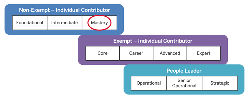image of career structure showing that Barb stays at the same level