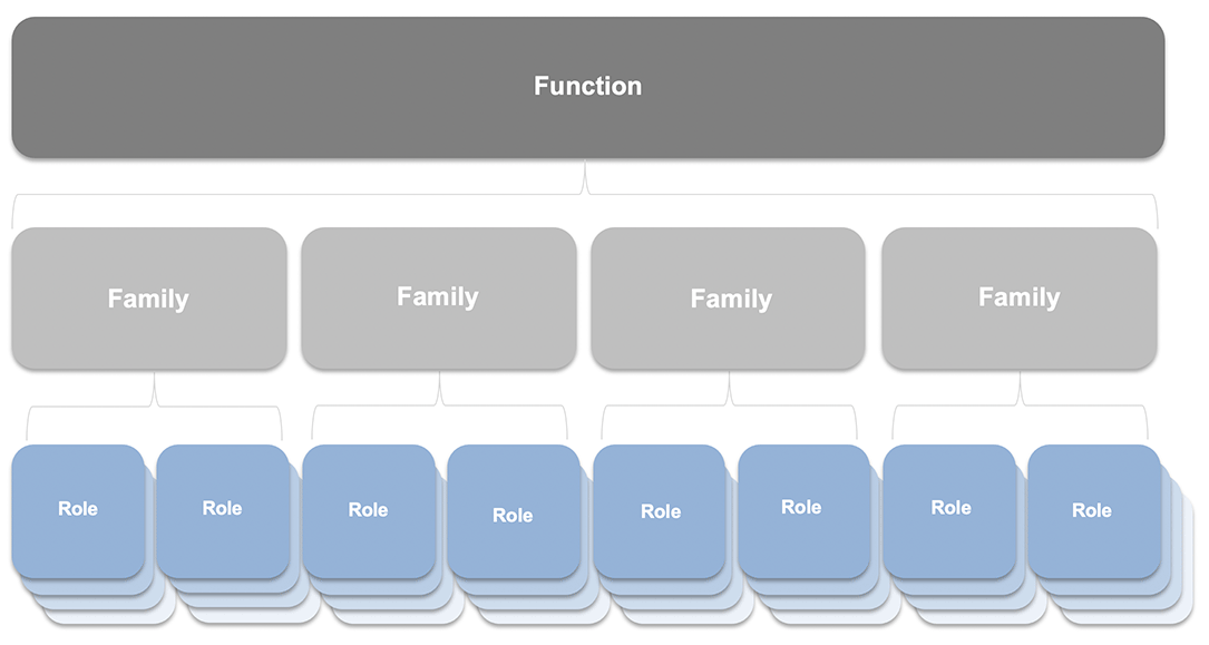 Functions and families chart with oles highlighted