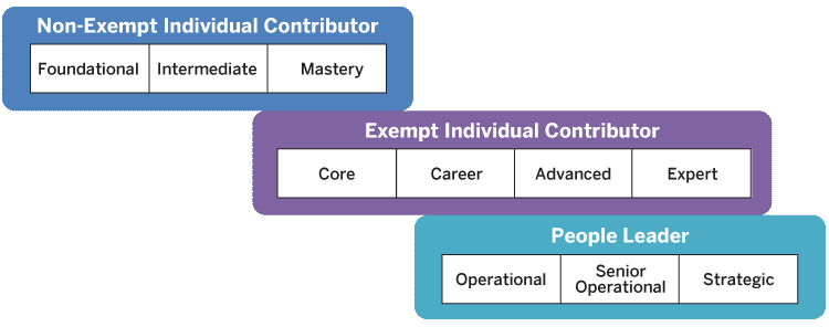 The career level structure has three levels. 1) Non-Exempt Individual Contributor: Foundational, Intermediate, Mastery. 2) Exempt Individual Contributor: Core, Career, Advanced, Expert. 3) People Leader: Operational, Senior Operational, Strategic.